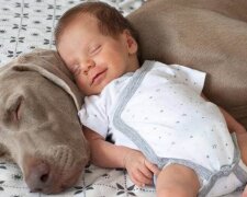 Psi čekali celých devět měsíců, než se setkali se svým novým přítelem