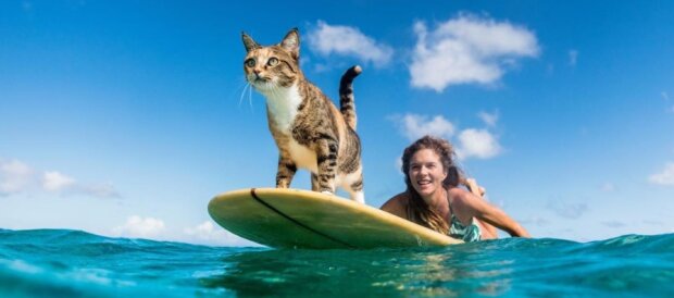 Dívka cestuje světem ve společnosti své kočky