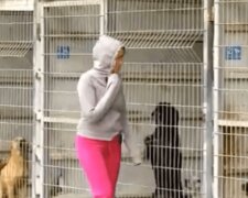 "Už neživí se pouze chlebem a vodou": žena nemohla vybrat, kterého psa adoptuje, a tak si koupila celý útulek