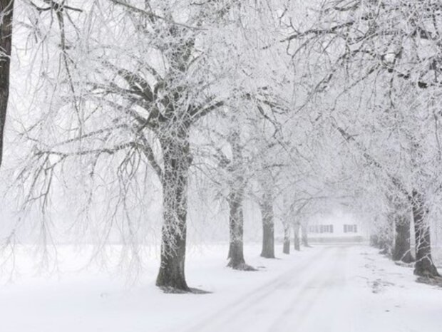 Počasí. Foto: snímek obrazovky YouTube