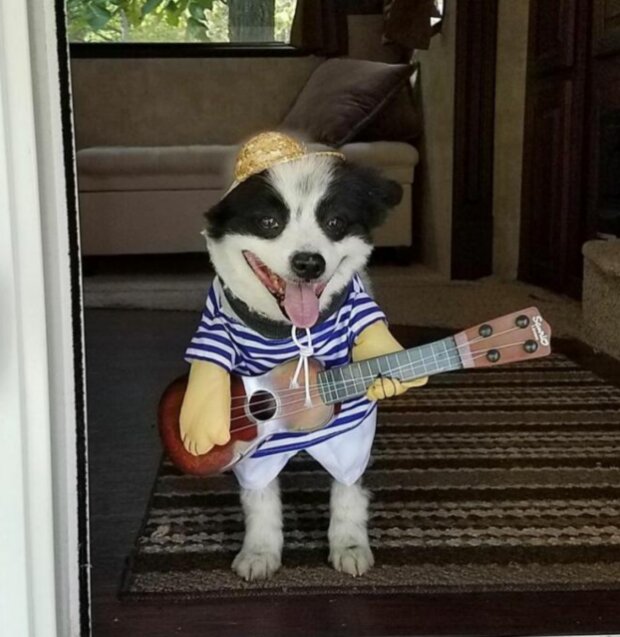 Shavi. Foto: snímek obrazovky chevysmiles