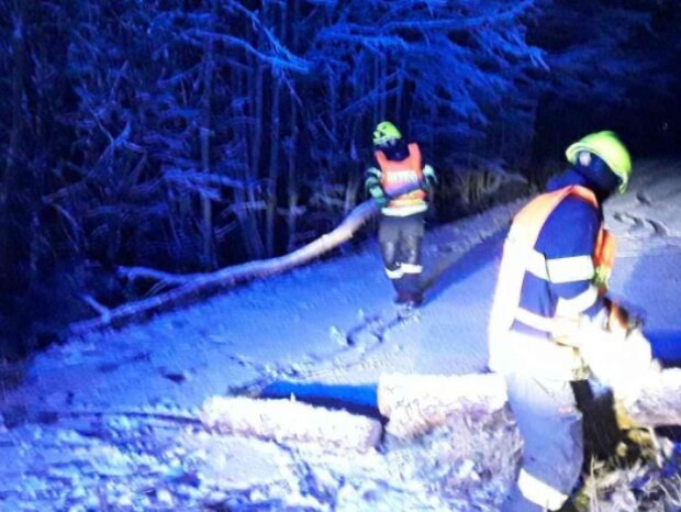 Sněžení. Foto: snímek obrazovky tn.nova.cz