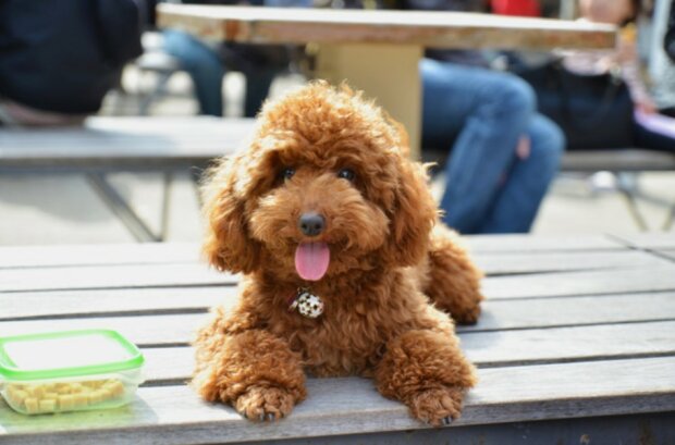 Fotografie: Bagata Photography/Moment/Getty Images