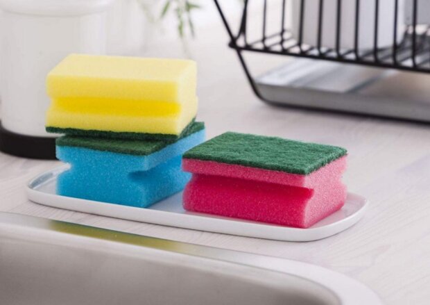 Houbičky. Foto: snímek obrazovky YouTube