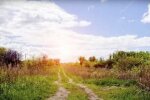 V Česku se z příštího týdne ochladí: Meteorologové řekli, kdy se vrátí tropy