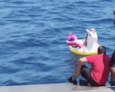 Fotografie: youtu.be