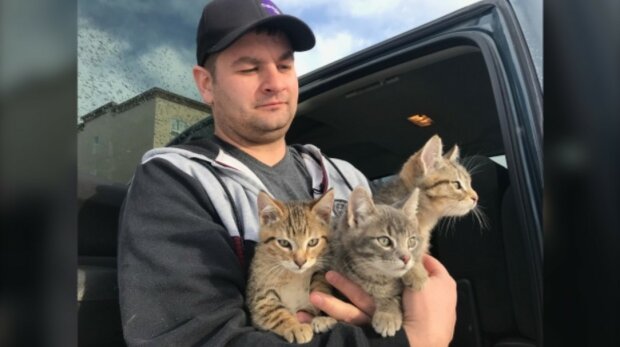 Muž zachránil tři koťátka pomocí kávy