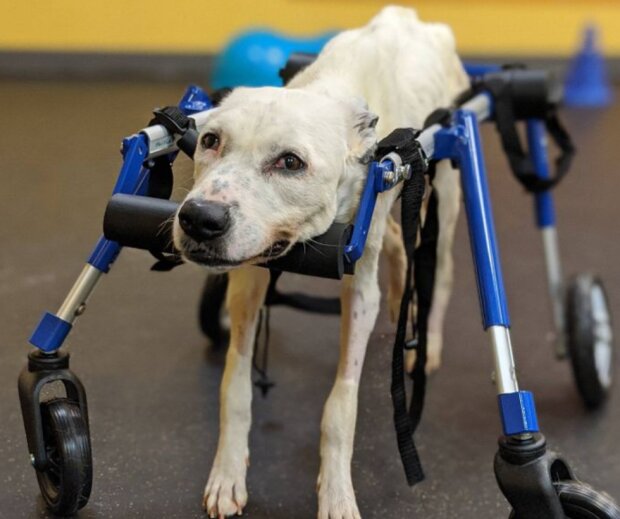 Fotografie: laykni.com