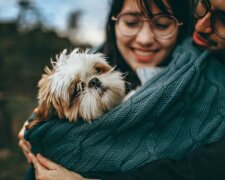 Proč byste si měli vzít zvíře do svého domova z útulku a ne z obchodu: pět dobrých důvodů