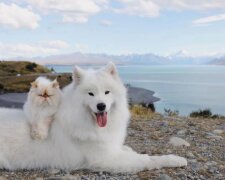 Přátelé. Foto: snímek obrazovky ukr.media