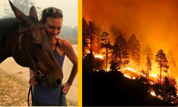 "Je to moje hrdinka."  Klisna dopravila do bezpečí majitelku prchající před australské požáry