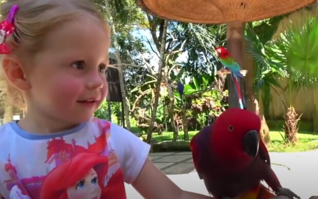 Zoo. Foto: snímek obrazovky YouTube