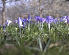 Do Česka míří jarní počasí: ČHMÚ ví, kdy přestane mrznout. Jakých nejvyšších teplot se dočkáme