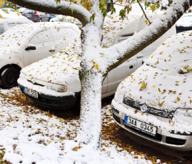 Sněžení. Foto: snímek obrazovky extra.cz