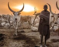 Každodenní život Afričanů: ženy bez oblečení a buvoly