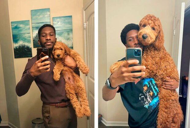 Kluk a pes. Foto: snímek obrazovky wilkray