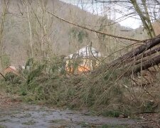 Do Česka se žene další silný vítr: Aktuální předpověď. Meteorologové řekli, jak bude