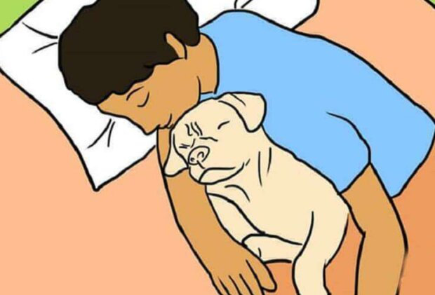 Pes. Foto: snímek obrazovky: superhear.info