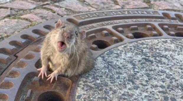 Fotografie: yaustal.com