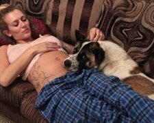 Mladá matka a její dítě by nepřežili, ne-li instinkt jejích psa