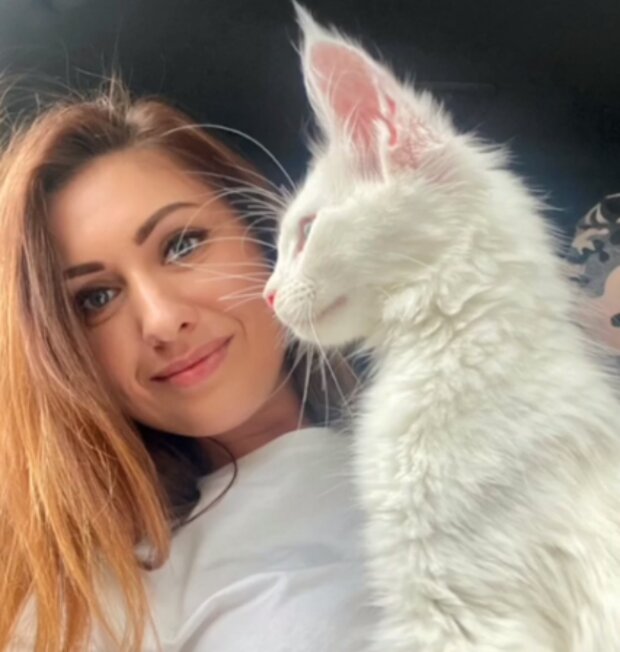 Kocour. Foto: snímek obrazovky Instagram