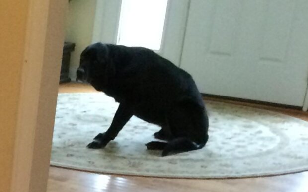 Fotografie: laykni.com