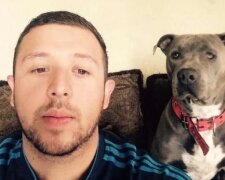 Pitbull udělal „lidský“ čin a vzdal se svého stánku pro těhotnou kočku, která nemá domov