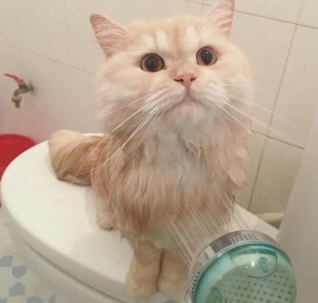 Fotografie: laykni.com