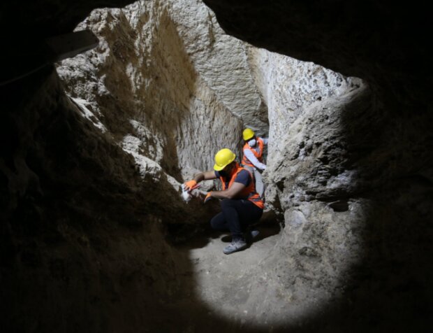 Foto: snímek obrazovky Focus