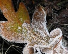 Sníh ve středních polohách: Je známo, kdy Česko zasáhne sněžení