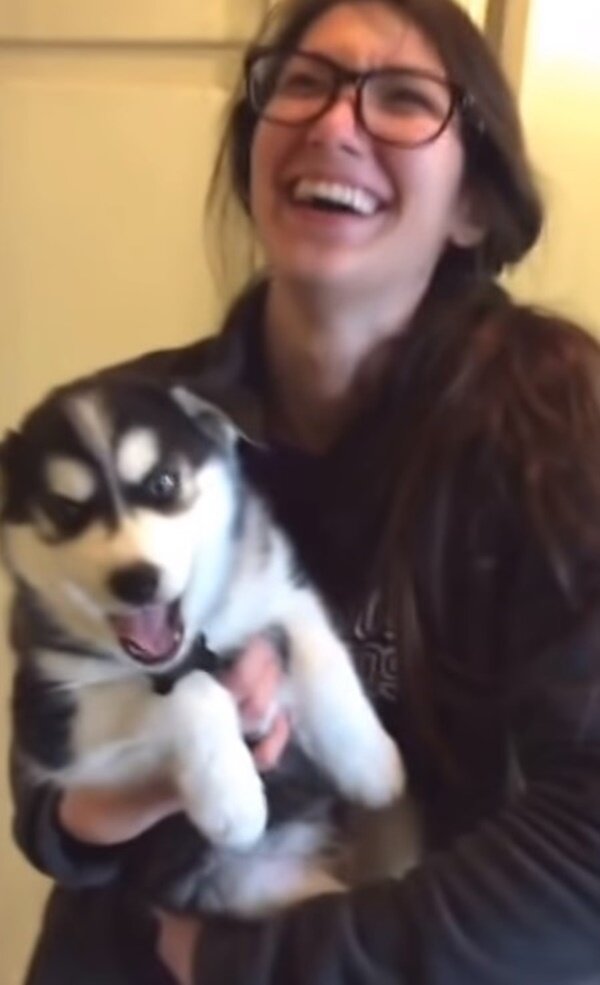 Fotografie: duck.show