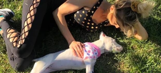 "Děkuji, Eli": veterinářka vyléčila umírajícího psa, který byl všemi opuštěný
