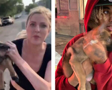 Neznámá žena předala štěně chlapovi a utekla: jak se má pejsek teď