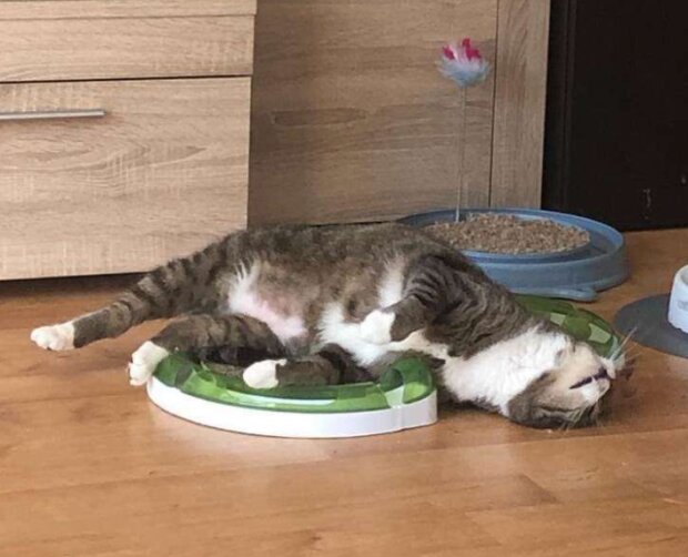 Fotografie: duck.show