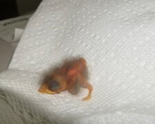 Fotografie: myhomeinspiration.net