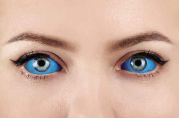 Oko. Foto: snímek obrazovky Africa Studio / Shutterstock.com