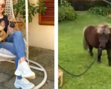 Silné přátelství: mladá dívka si vzala k sobě na vychov poníka a teď ji psi berou poníka na procházku