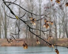 Česko vstupuje do roku 2022 vysokými teplotami: Meteorologové řekli, jak bude o víkendu. Jakých nejvyšších teplot se dočkáme