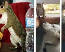 Fotografie: instagram.com