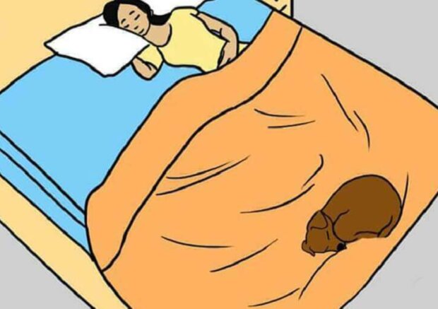 Pes. Foto: snímek obrazovky: superhear.info