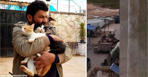 Syřan zůstal ve zničeném městě, aby se staral o opuštěné kočky. "Bylo tu tolik osamělých koček. Kdybych odjel, do konce života bych si to vyčítal"