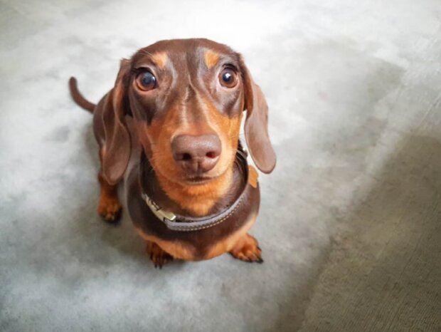 Zdroj fotografie: Cuppyuppycake/Getty Images