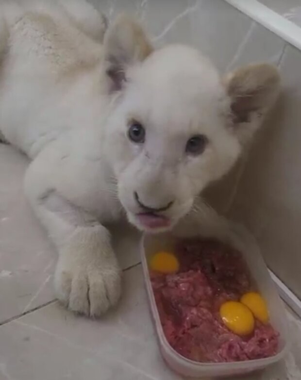 Foto: snímek obrazovky Instagram