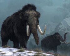 "Uvízli v bažině": v okolí hlavního města Mexika našli zbytky šedesáti mamutů starých více než patnáct set tisíc let. Podrobnosti