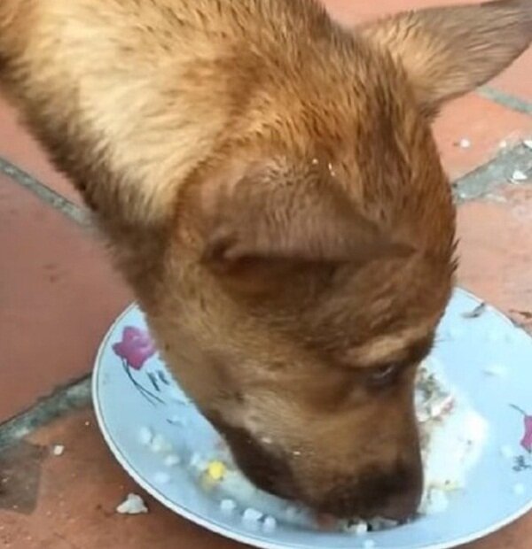 Zdroj fotografie: mur.tv