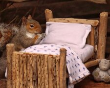 Fotografka vyrobila malou postel a nechala ji na zahradě