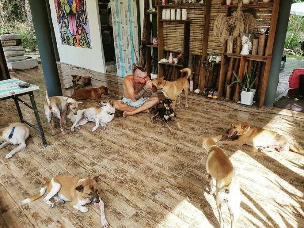 Poté, co ztratili svého milovaného mazlíčka, dal pár útočiště 15 toulavým psům na památku svému mazlíčkovi
