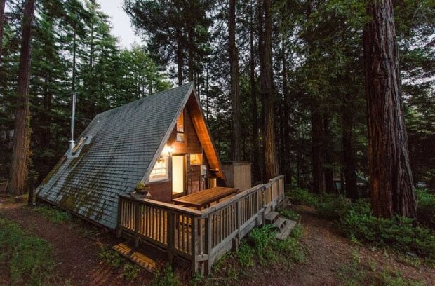 Tento malý domek vypadá jako střecha uprostřed lesa