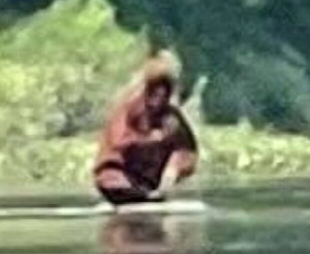 Yetti. Foto: snímek obrazovky Facebook