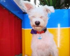 Fotografie: images.indianexpress.com